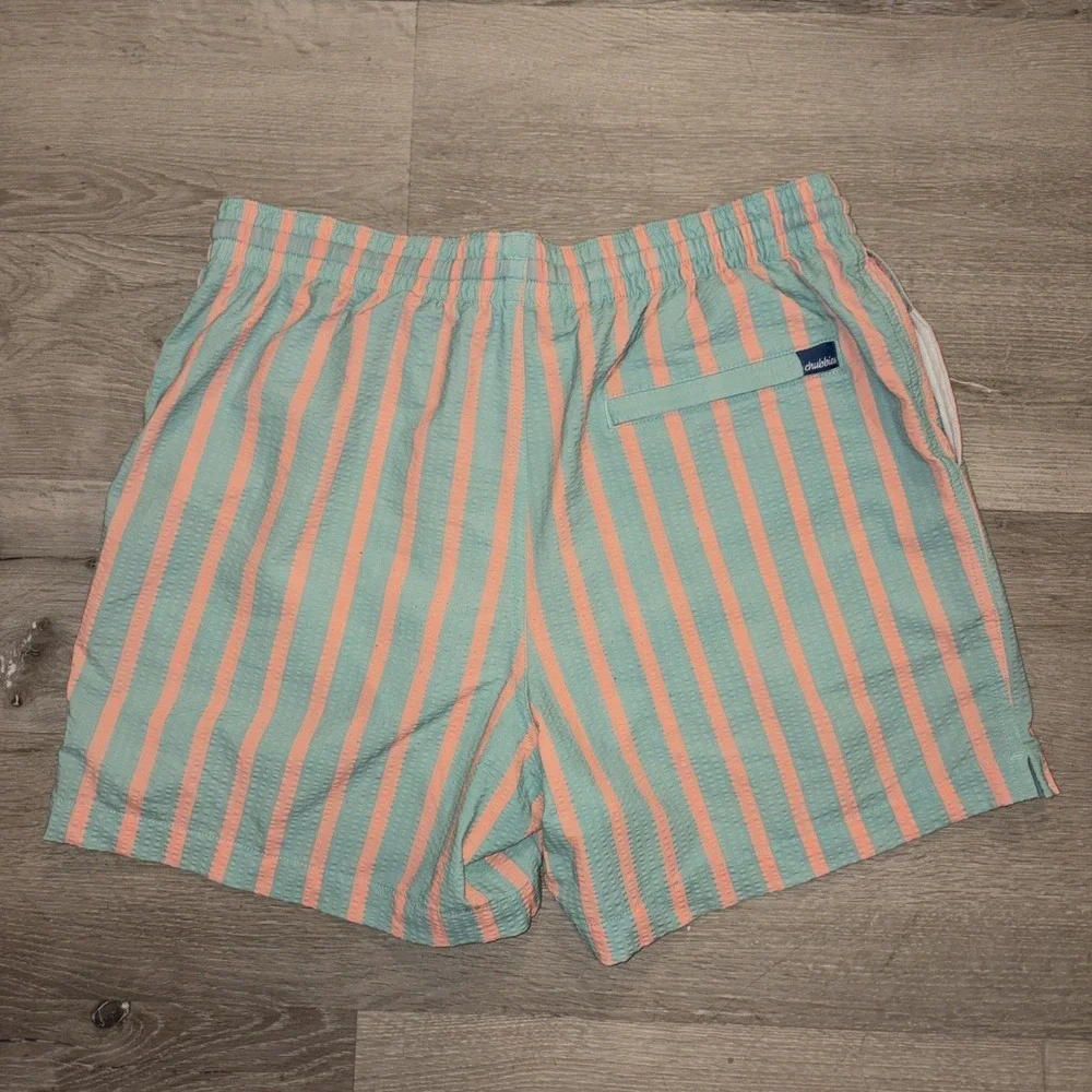 Chubbies Swim Trunks 5.5 Inch Seam Striped Men's Medium Green Pink